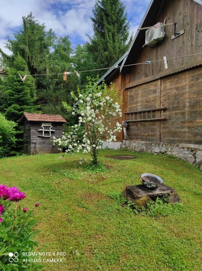 Dorina Hiza Villa Karlovac Exteriör bild