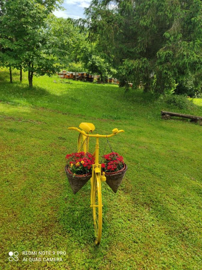 Dorina Hiza Villa Karlovac Exteriör bild