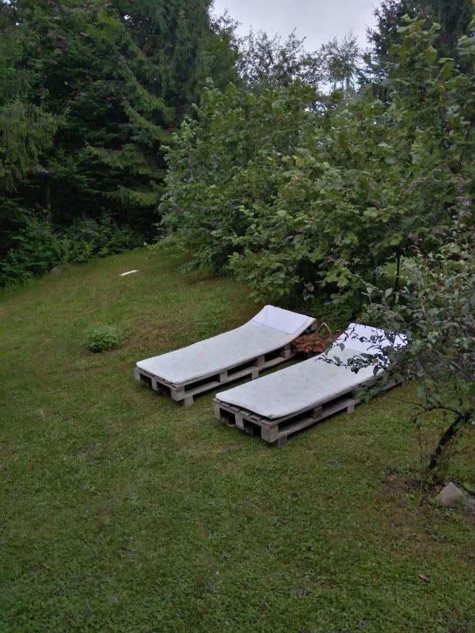 Dorina Hiza Villa Karlovac Exteriör bild