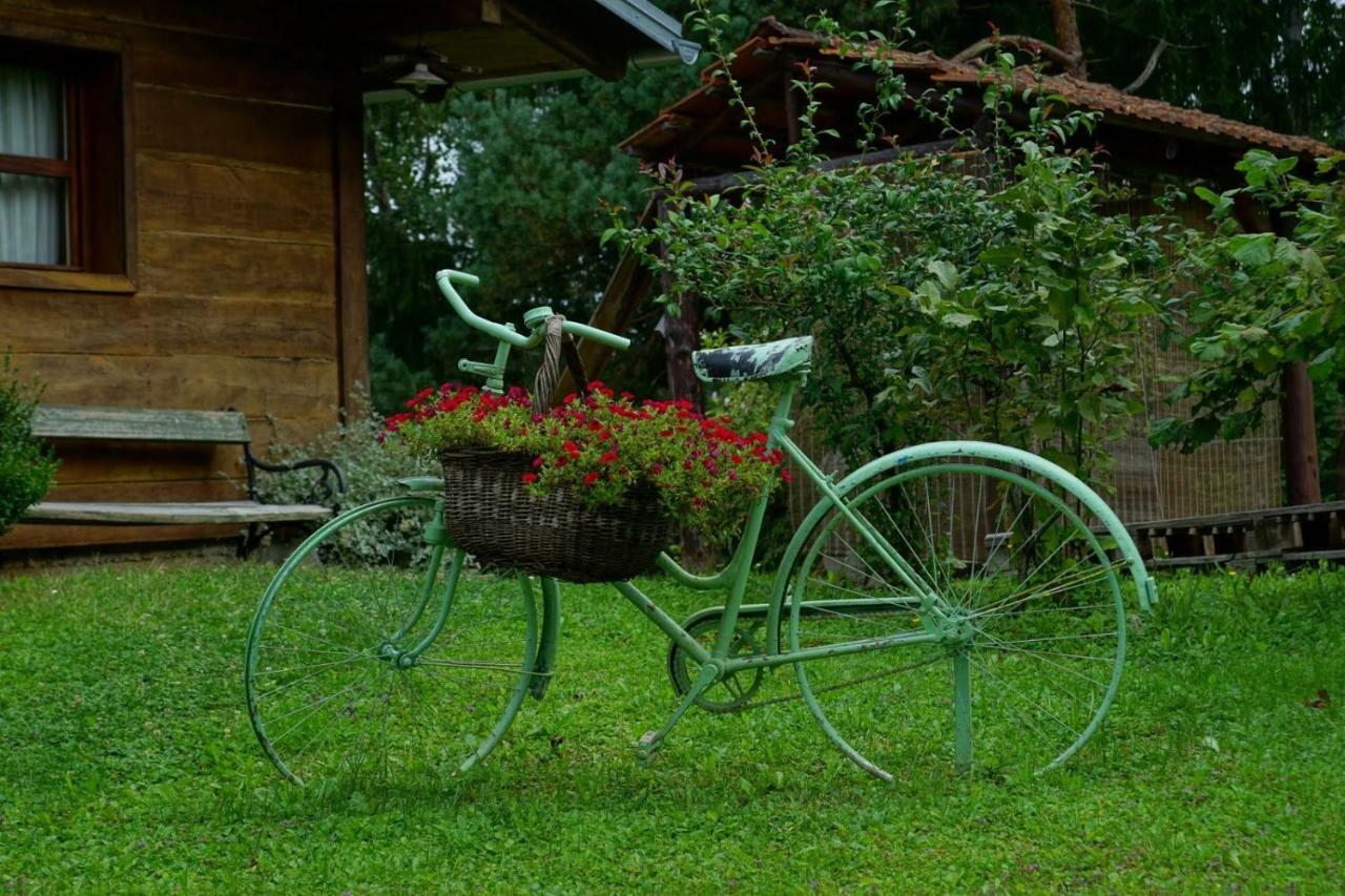 Dorina Hiza Villa Karlovac Exteriör bild