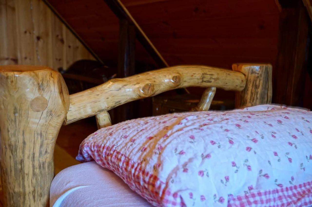 Dorina Hiza Villa Karlovac Exteriör bild